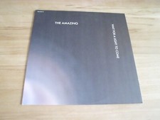 LP   THE AMAZING  -  WAIT FOR A LIGHT TO COME         SUBLIMINAL SOUNDS