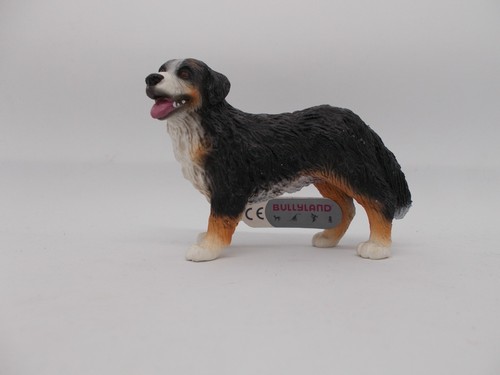 Hund hunde 65449 berner - hunde,