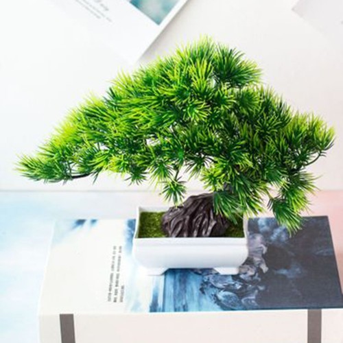 Bonsai baum mit topf - baum,