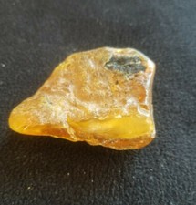 Bernstein Amber 37 Gramm 