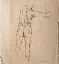 Männerakt Rückenakt Erotik