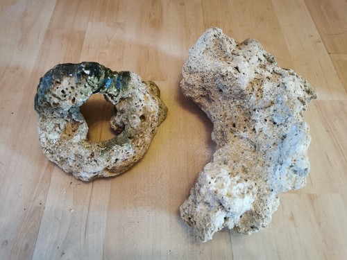 Riffgestein totgestein - riffgestein,