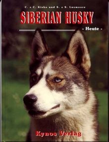Siberian husky heute das - husky,