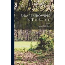 Grape growing the south - grape,