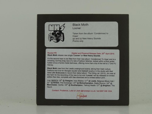 Black moth looner 1 - moth,