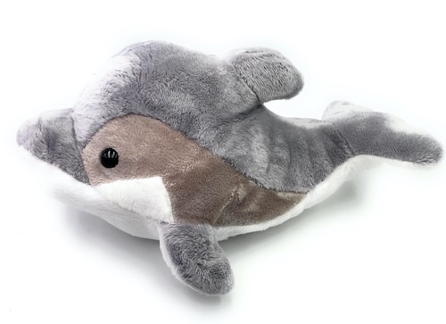 Delfin delphin tier - delfin,