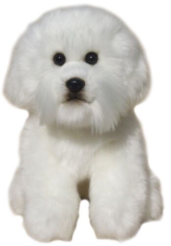 Bichon frise plüschtier - bichon,