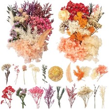 Trockenblumen, Bastelmaterial