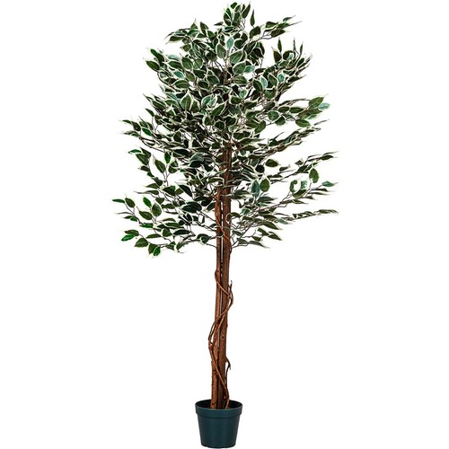 Plantasia kunstpflanze ficus - plantasia,