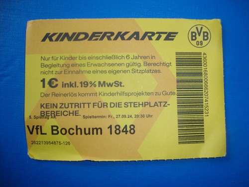 Ticket bvb dortmund - 24/25, vfl