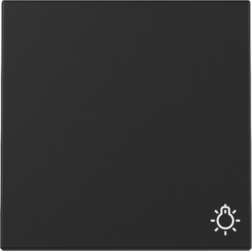 Gira system schwarz matt - 55,
