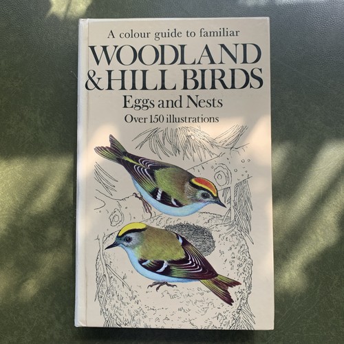 Woodland and hill - hill, birds-a