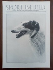 Russischer Windhund, Barsoi, Abbildung, 1928