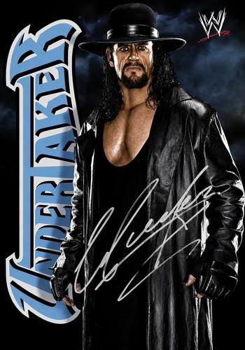 The undertaker - the,