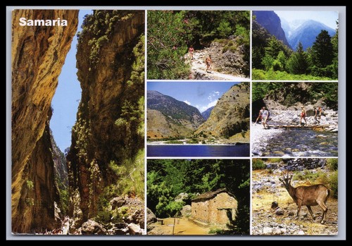 Ansichtskarte kreta samaria - /,