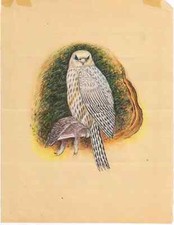 Indisch Malerei Handbemalt