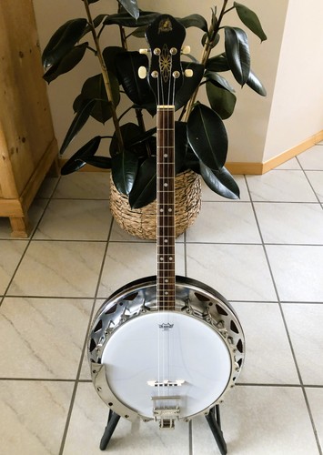 Framus tenor banjo dixi - banjo,, model