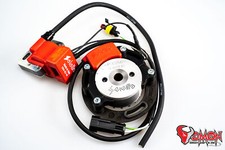 Selettra komplett Zündung A11