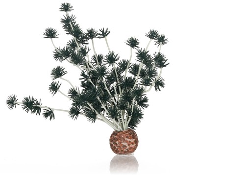 Oase biorb bonsai - ball, schwarz