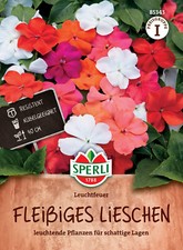 Fleißiges lieschen - fleißiges,