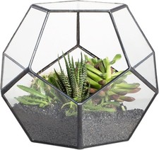 NCYP Glas Terrarium Dodekaeder
