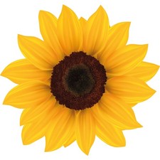 Aufkleber Sonnenblume gelb