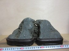 Suiseki Bonseki Bonsai