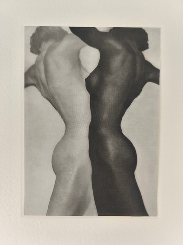 Heinz hajek halke - -,