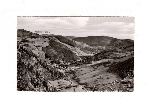 Ansichtskarte todtnau im - ak,