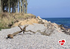 Postkarte Dovns Klint, Langeland 14,7 x 10,4 cm Fotokarte Dänemark GDS 714