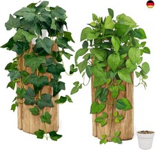 2 Stück Hängepflanze