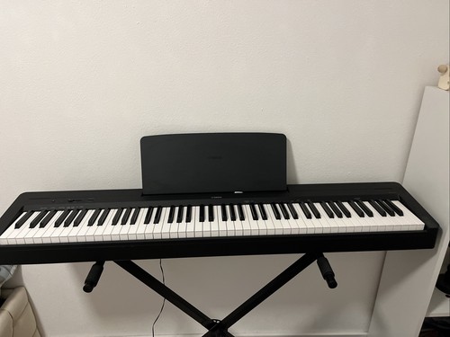 Klavier für anfänger - klavier,
