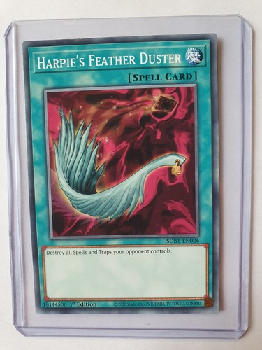 Harpyien-Flederwisch