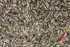 Sonnenblumenkerne - (1,35€/kg),