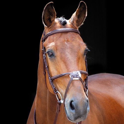 Shires salisbury brackley - salisbury,