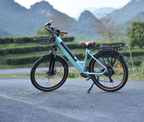 Bike zoll elektrofahrrad - e,