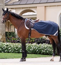 Horseware Nierendecke Amigo