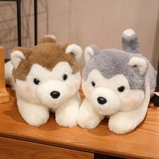 Süßes husky hund kuscheltier - süßes,