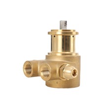 Verdränger Drehschieberpumpe