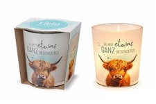 Windlicht inkl. Teelicht