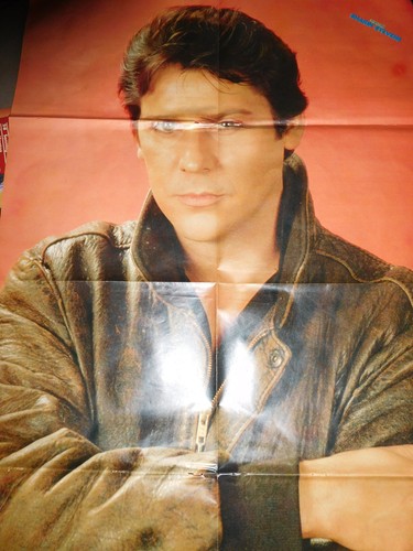 Shakin stevens angus - stevens,