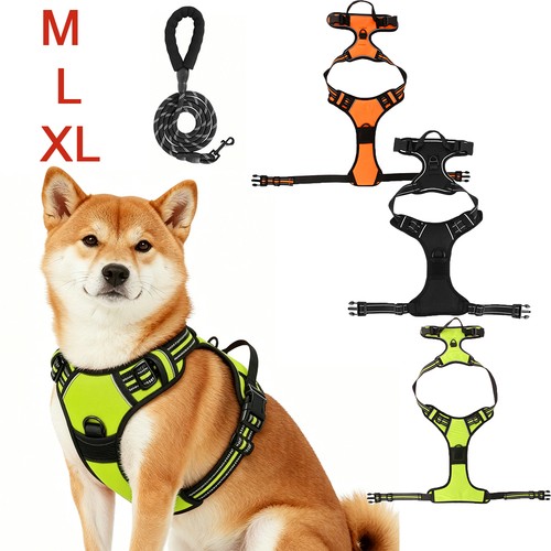 Hundegeschirr mit leine soft - hundegeschirr,