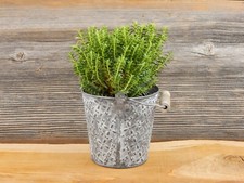 Eimer Kübel Metall Deko