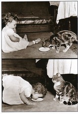 Postkarte schwarz-weiß