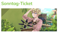 Dokomi Sonntag Ticket 2026