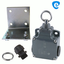 Zugschalter Zugtaster