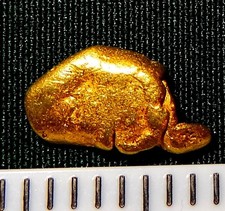 XXL GOLDNUGGET 7,8mm