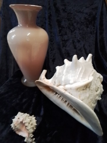Vase rosa mit großer und