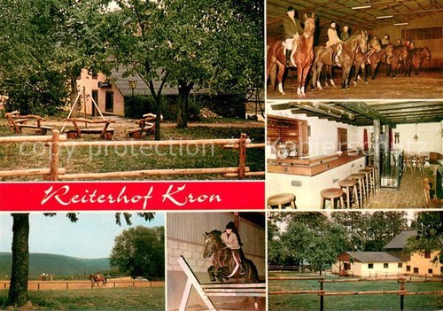 Neumagen dhron reiterhof kron - reiterhof,
