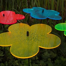 10, 20, 50 Stück SUNPLAY